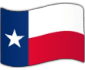 a texas flag with a star on it.