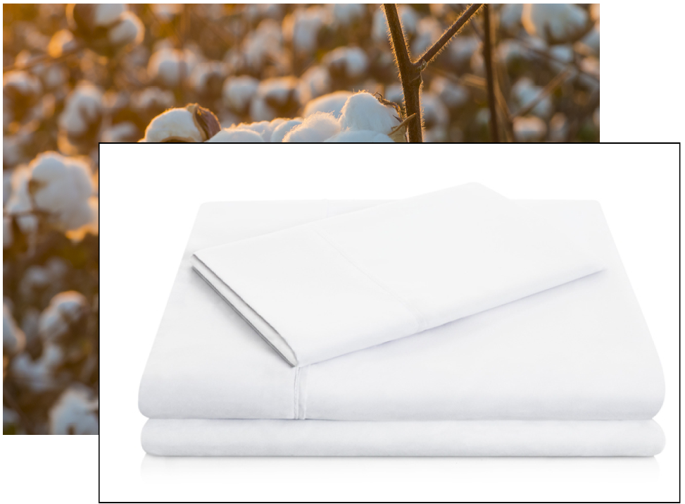 White bed sheets stacked neatly, overlaid on a background of cotton plants in a field.