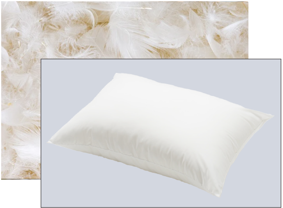 A white pillow is shown in front of a close-up background image of white feathers, suggesting the pillow is filled with feathers.