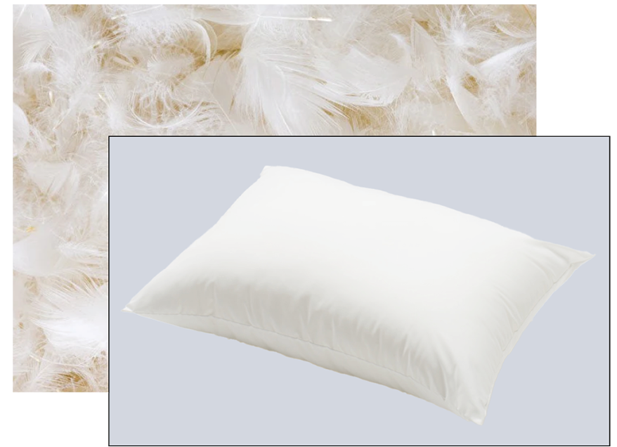A white quilted pillow is shown against a background of green bamboo stalks and leaves.